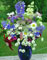 Garden wedding flower bouquet